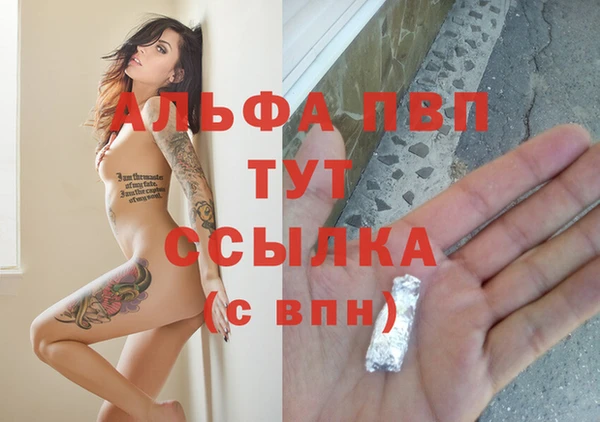 тгк Белокуриха