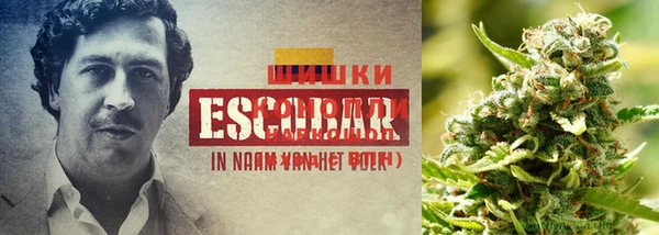 тгк Белоозёрский
