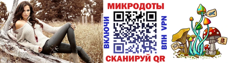 Псилоцибиновые грибы Cubensis где купить наркоту Демидов